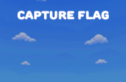 Flag Capture